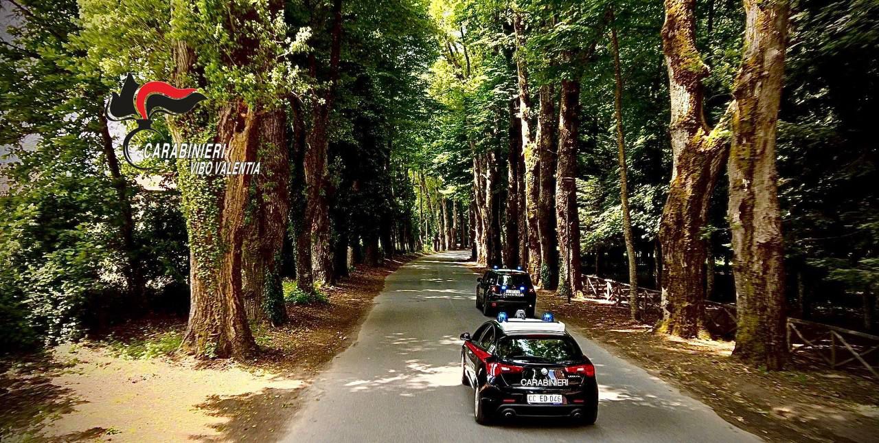 Illeciti urbanistici, a Serra San Bruno sequestrati un b&b e due campi da padel