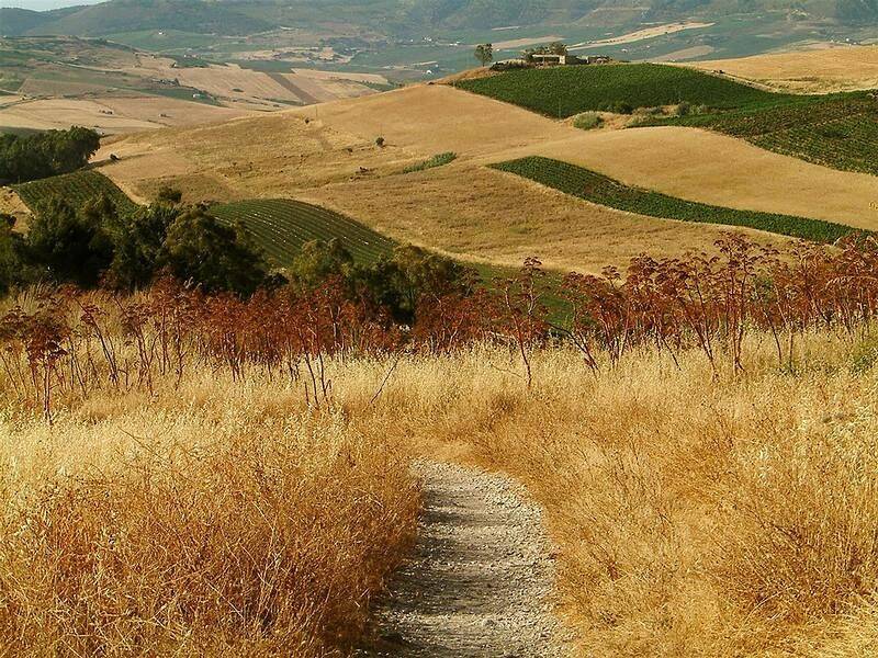 Infrastrutture rurali, nel Vibonese 26 Comuni ammessi al finanziamento